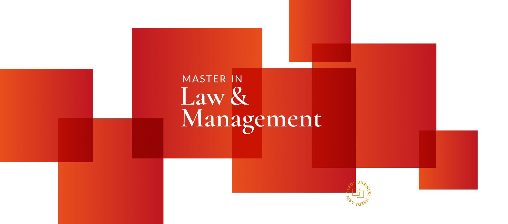 Master in Law & Management